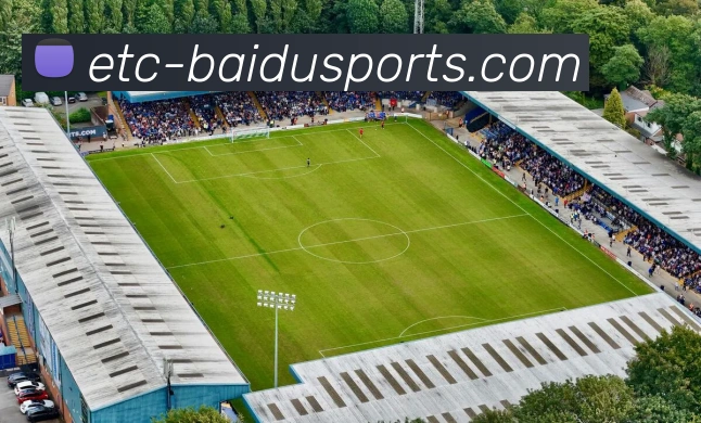 App Interface Preview